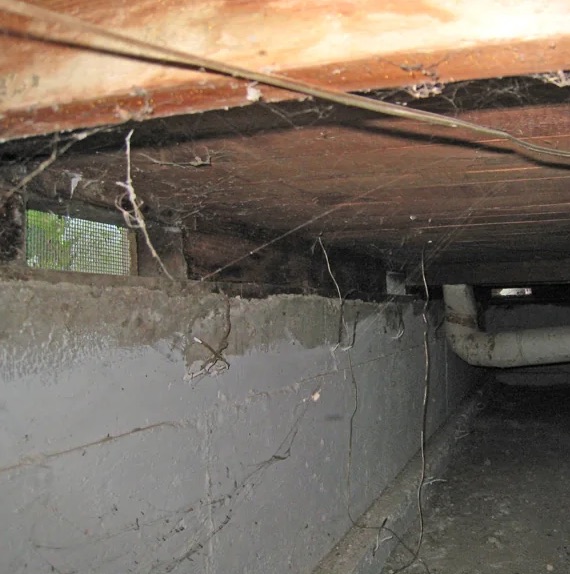 Crawl Space Water Damage Repair in Richardson, TX