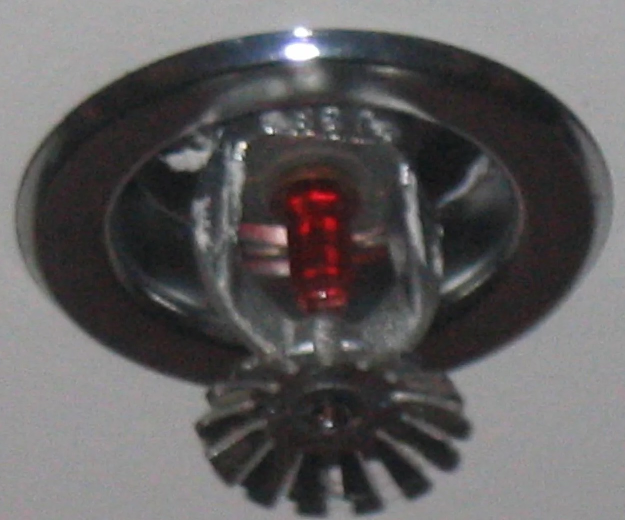 Sprinkler System Water Removal in Richland Hills, TX