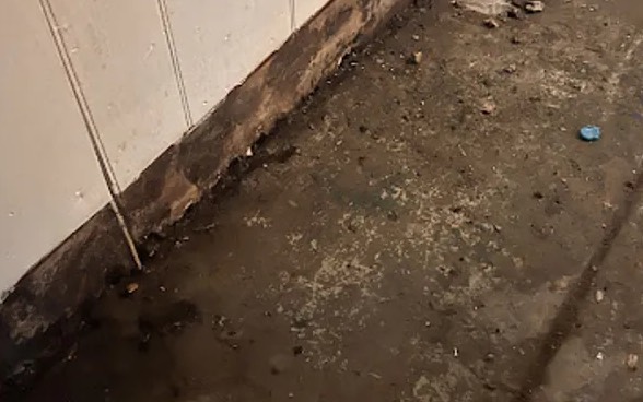 Sewage Cleanup & Disinfection in Lantana, TX